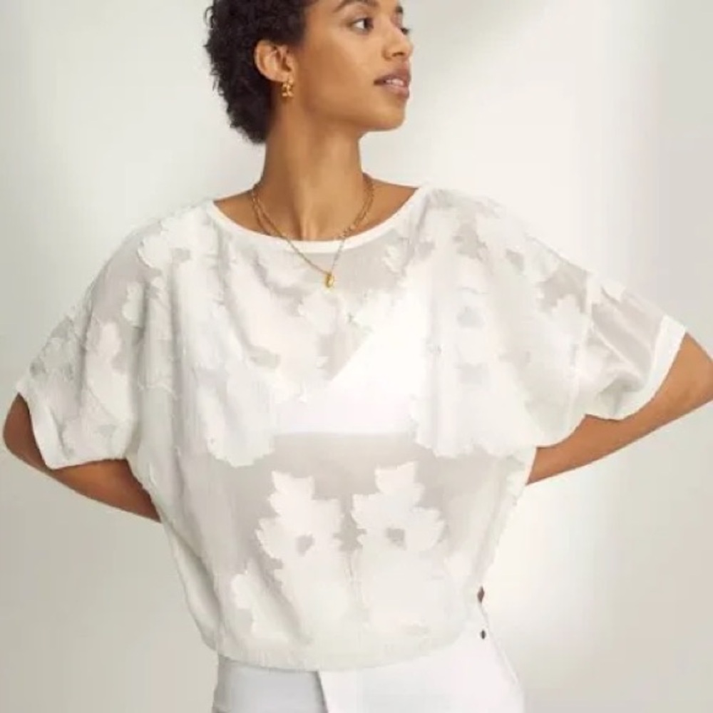 Aritzia Alfred Appliqué top